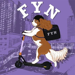 Fyn 图标